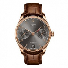 Portuguese 7 Days Automatic IW500106 1113